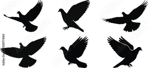 Bird silhouette vector set, collection of flying pigeons, black outline for nature, wildlife, and peace symbol design