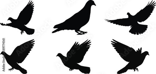 Bird silhouette vector collection, black outline of flying pigeons, animal shapes for nature and wildlife design