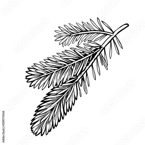 A detailed illustration of a pine branch with needle-like leaves. The design showcases the natural texture and structure of the foliage.