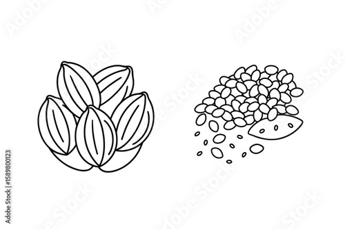 Cocoa beans and scattered seeds food agriculture