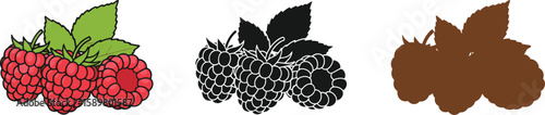 Three raspberry illustrations showcase vibrant color, stark black silhouette, and a brown shadow, perfect for designs needing a fresh, natural, or graphic element.