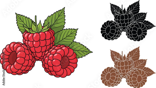 Three ripe raspberries with green leaves are presented in color, black silhouette, and brown outline, showcasing a versatile design element for various creative projects.