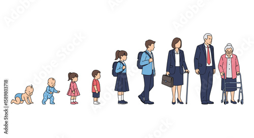 Visual depiction of human life stages from infancy to old age illustrating growth and development