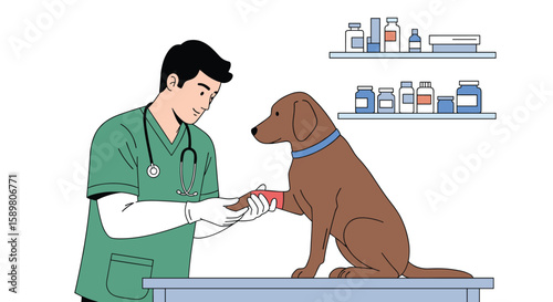 Veterinarian bandaging injured dog paw during animal medical treatment examination