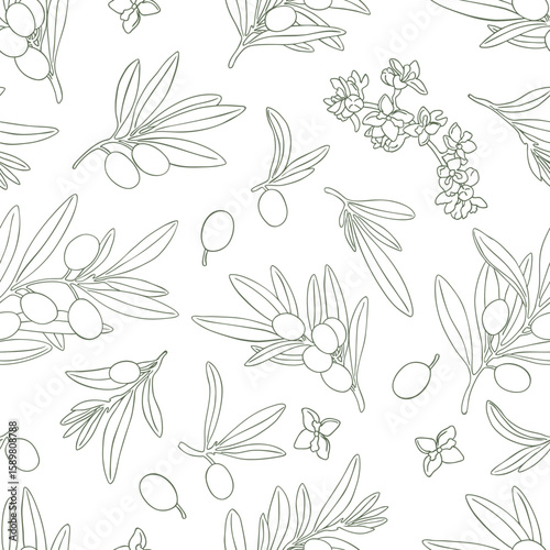 Seamless pattern drawing olive oil fruits branch vector. Hand drawn floral illustration olives fruit tree branches leaves background green. Drawings food. Edible foliage. Fabric wrapping decor menu