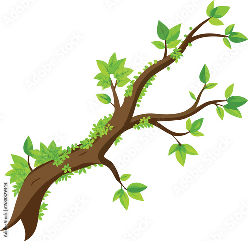 Spring branch with green leaves vector