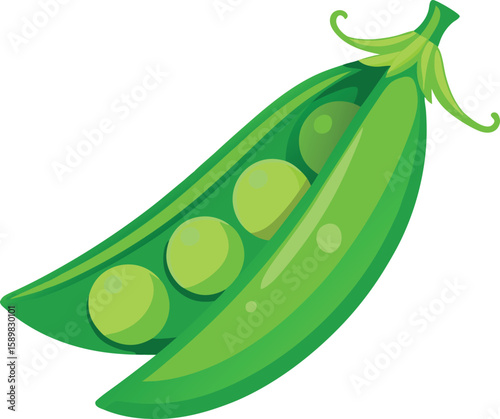 Fresh green pea pod with seeds vector illustration