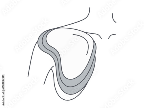 Human Shoulder Joint Outline with Collarbone for Anatomy and Pain Concepts