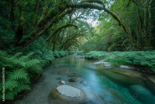 Emerald waters flow through a lush forest with ferns, green moss-covered trees creating a serene and picturesque natural landscape scene.