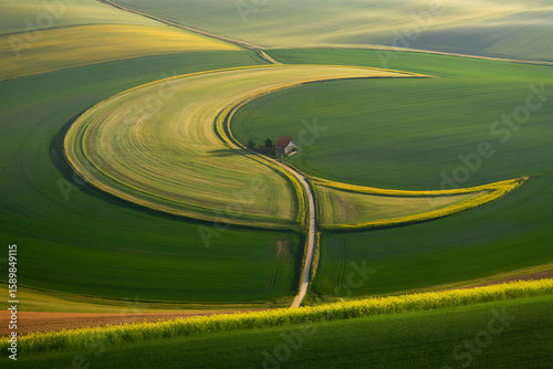 Verdant farmland creates a stunning scene with its golden crescent shape and rolling green hills in a rural landscape.