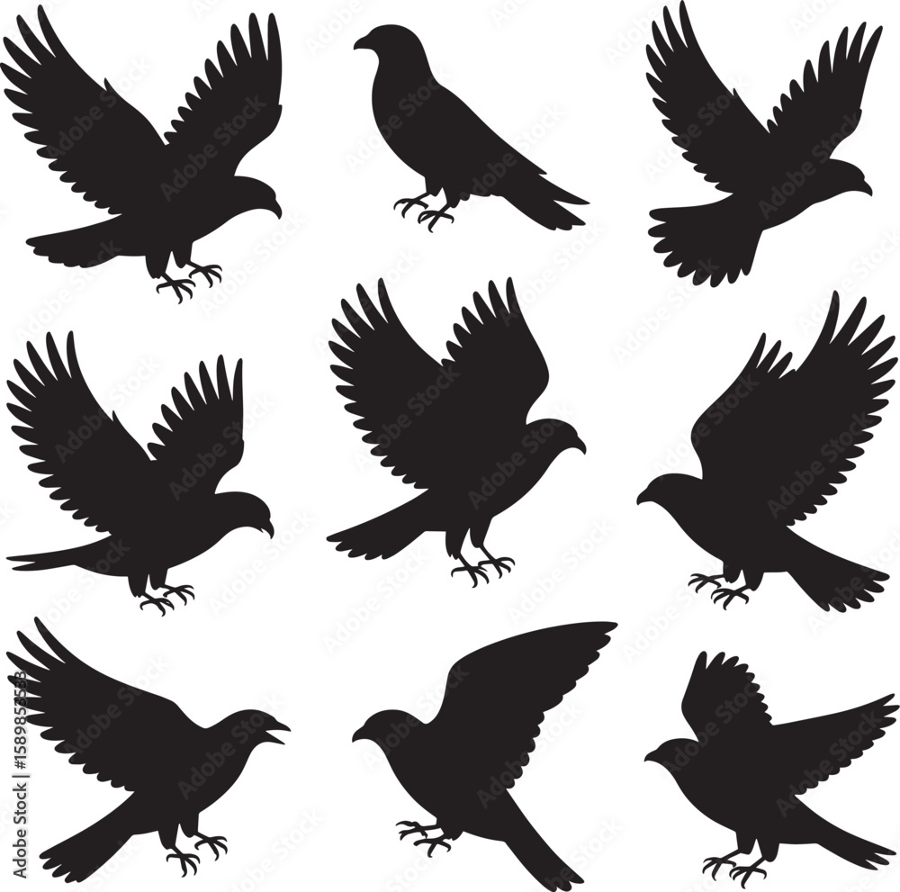 Fototapeta premium set of silhouettes of birds
