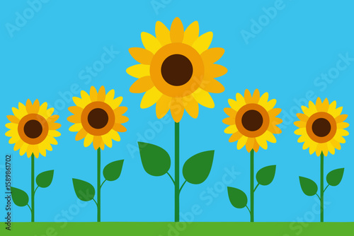 Five bright yellow sunflowers growing tall against a clear blue sky
