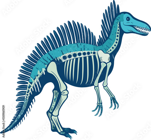 Illustration of a colorful spinosaurus dinosaur depicting skeleton and body outline