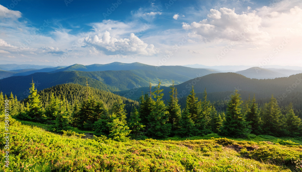 Obraz premium beautiful summer forest landscape panorama view hiking travel outdoor concept mountain view journey in the carpathians mountains ukraine