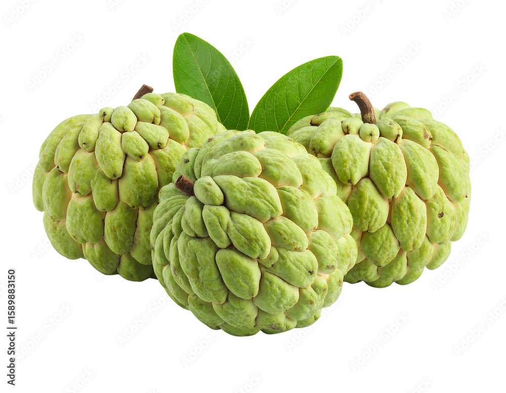 Obraz premium Three ripe custard apples with green leaves isolated on transparent background