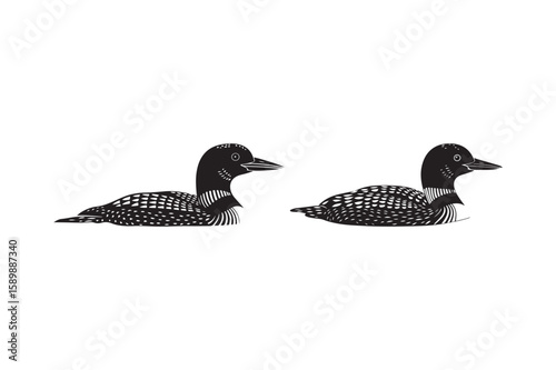 Two black and white stylized illustrations of common loons swimming