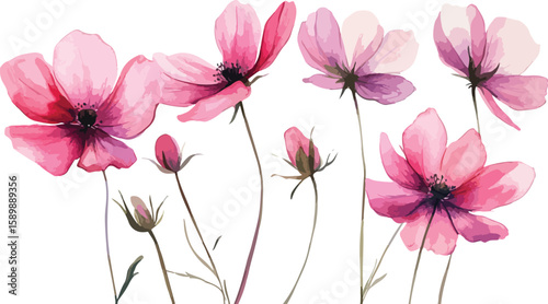 Image Processing Complete