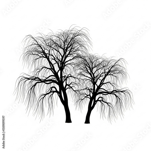 Silhouette of two bare trees against white background