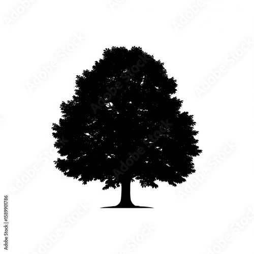 Silhouette of a large tree with dense leafy crown