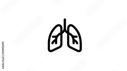 Understanding Human Respiratory System Health And Vitality