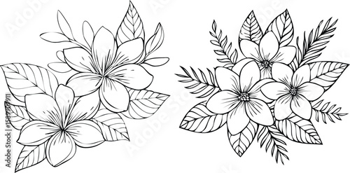 Frangipani Blossom Sketches: Tropical Flower Line Art