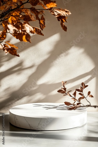 Elegant Marble Surface With Autumn Leaves Casting Shadows in Soft Light