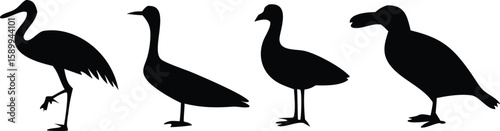 Four black silhouette birds standing 