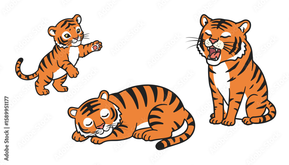 Fototapeta premium Cute vector tiger illustrations collection on transparent background