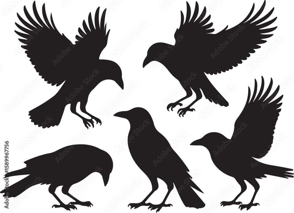 Fototapeta premium Five black bird silhouettes in various poses birds crows