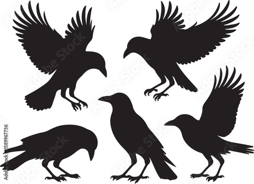Five black bird silhouettes in various poses birds crows