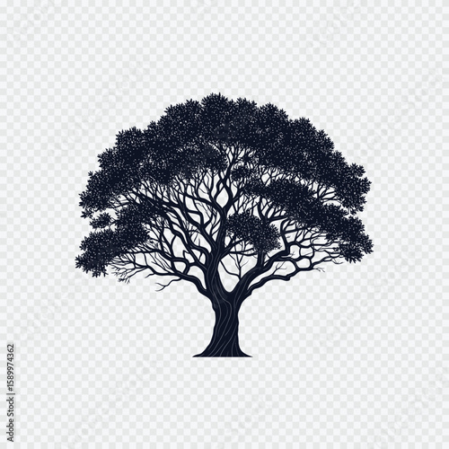 Solitary Sentinel: Silhouette of a majestic tree, its branches reaching skyward, a symbol of resilience, longevity and the quiet grandeur of the natural world.
