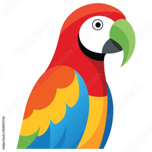 parrot on a white background