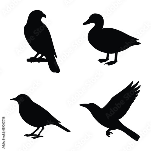 Wallpaper Mural Diverse Bird Silhouettes A Study in Avian Forms and Shapes on Display. Torontodigital.ca