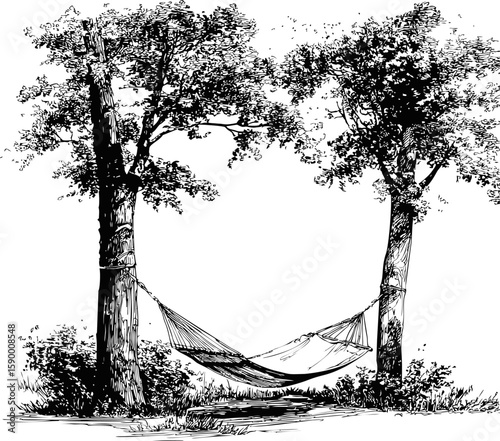 Hammock hanging between two tall trees in a peaceful forest illustration. Vector illustration