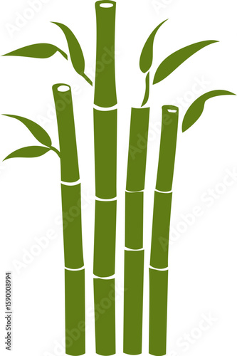 Illustration of tall green bamboo stems with leaves. Vector illustration