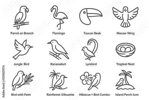 Set of twelve exotic bird icons with tropical designs and symbolic shapes