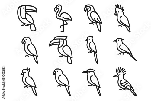 Outline illustrations of various exotic bird species on dark background