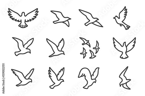 Elegant bird silhouettes on subtle gradient background