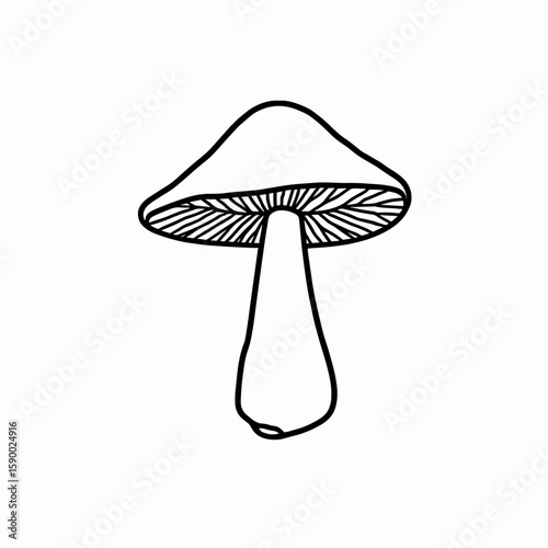 Shiitake mushroom illustration in minimalist style, black and white, for art and design purposes