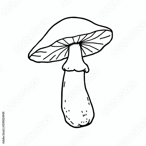 White mushroom illustration in minimalist style, black and white, for art and design purposes