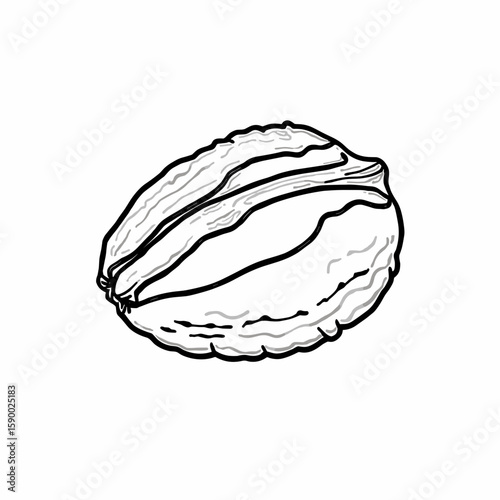 pecan illustration line art on white background with copy space