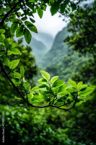 Lush Green Leaves Framing a Serene Mountain Landscape on a Misty Day in the F...