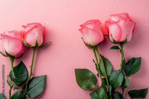 Delicate Pink Roses Arranged Beautifully Against a Soft Pastel Background.