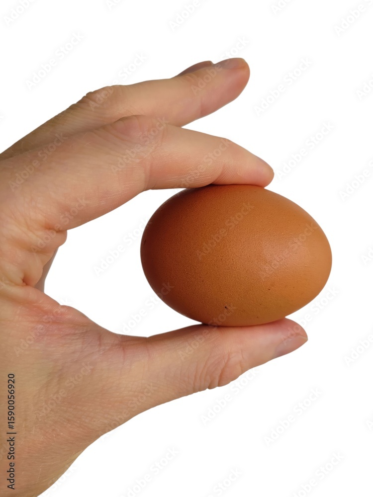 Close up of a hand holding a brown chicken egg isolated on a white background, depicting food safety, agriculture, and natural food sources Close up of a hand holding a brown chicken egg isolated on a white background, depicting food safety, agriculture, and natural food sources