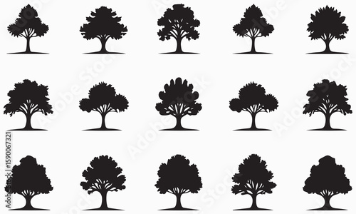 Set of tree silhouettes in various styles and species for nature and design use