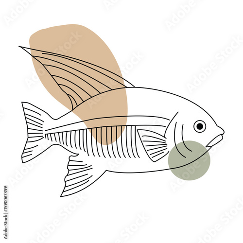  fish line art t shirt design