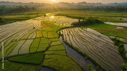 Aerial View of Rice Fields in Southeast Asia at Sunset
