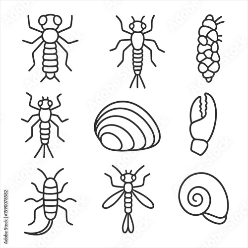Macroinvertebrate Line Icons. Line style icons of Macroinvertebrates: dragonfly nymph, mayfly larva, caddisfly case, stonefly