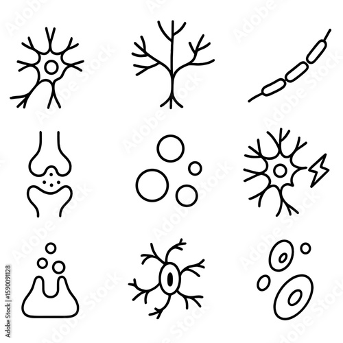Neuron Anatomy Icons. Outline style icons of Neuron Anatomy: neuron cell body, dendrite tree, axon cable, synapse connection,