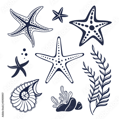 Starfish seashell seaweed and coral marine life